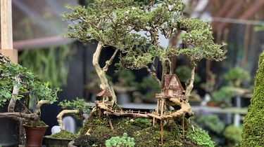 Wisata Gratis Jakarta, Ada Pameran Flona 2025 di Lapangan Banteng