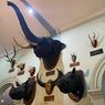 Sejarah Museum Zoologi Bogor, Berdiri Sejak 1894