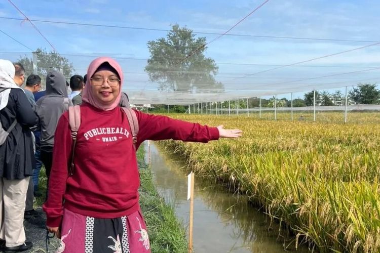 Epidemiolog Unair Sebut Tingkat Kematian Hantavirus 50 Persen, Begini Cara Penularannya