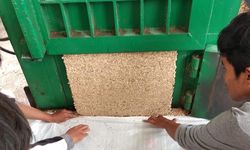 Kembali Ekspor Jagung, Kementan Sebut Indonesia Punya Potensi Melimpah