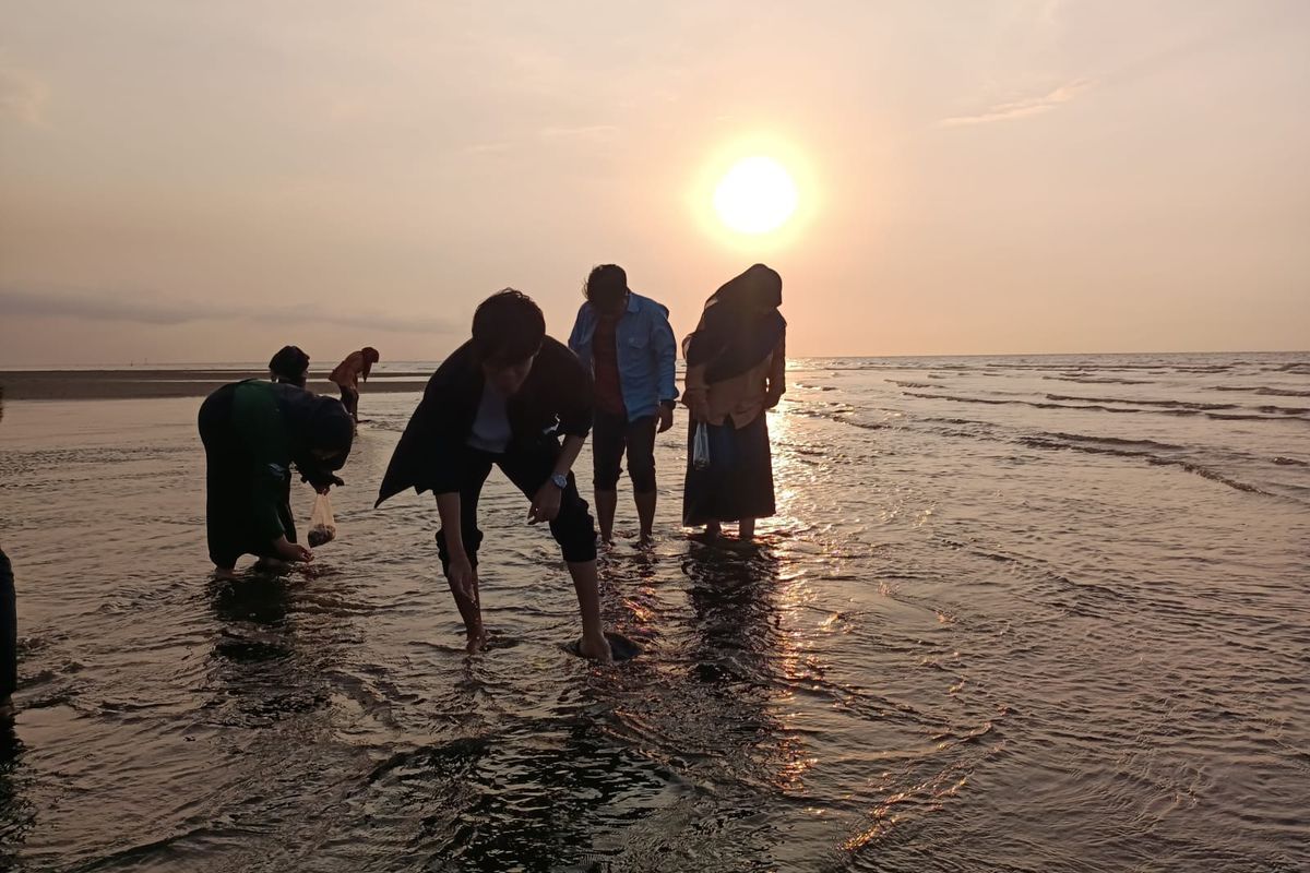 Wisatawan mencari kerang sambil menikmati matahari terbenam di Pantai Greenthing Paiton, Kabupaten Probolinggo. 