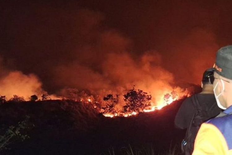 Api membakar hutan dan lahan (karhutla) kawasan Gunung Bromo.