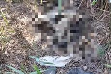 Misteri Kerangka Manusia di Semak Belukar di Balikpapan Akhirnya Terungkap