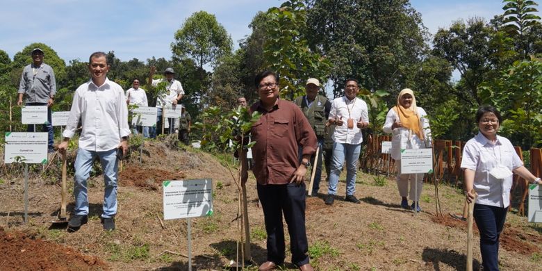 Penanaman 15.000 pohon  atas kerja sama Institut Pertanian Bogor (IPB) dan United Tractors (UT), di Taman Hutan Kampus IPB, Kamis (15/12/2022).
