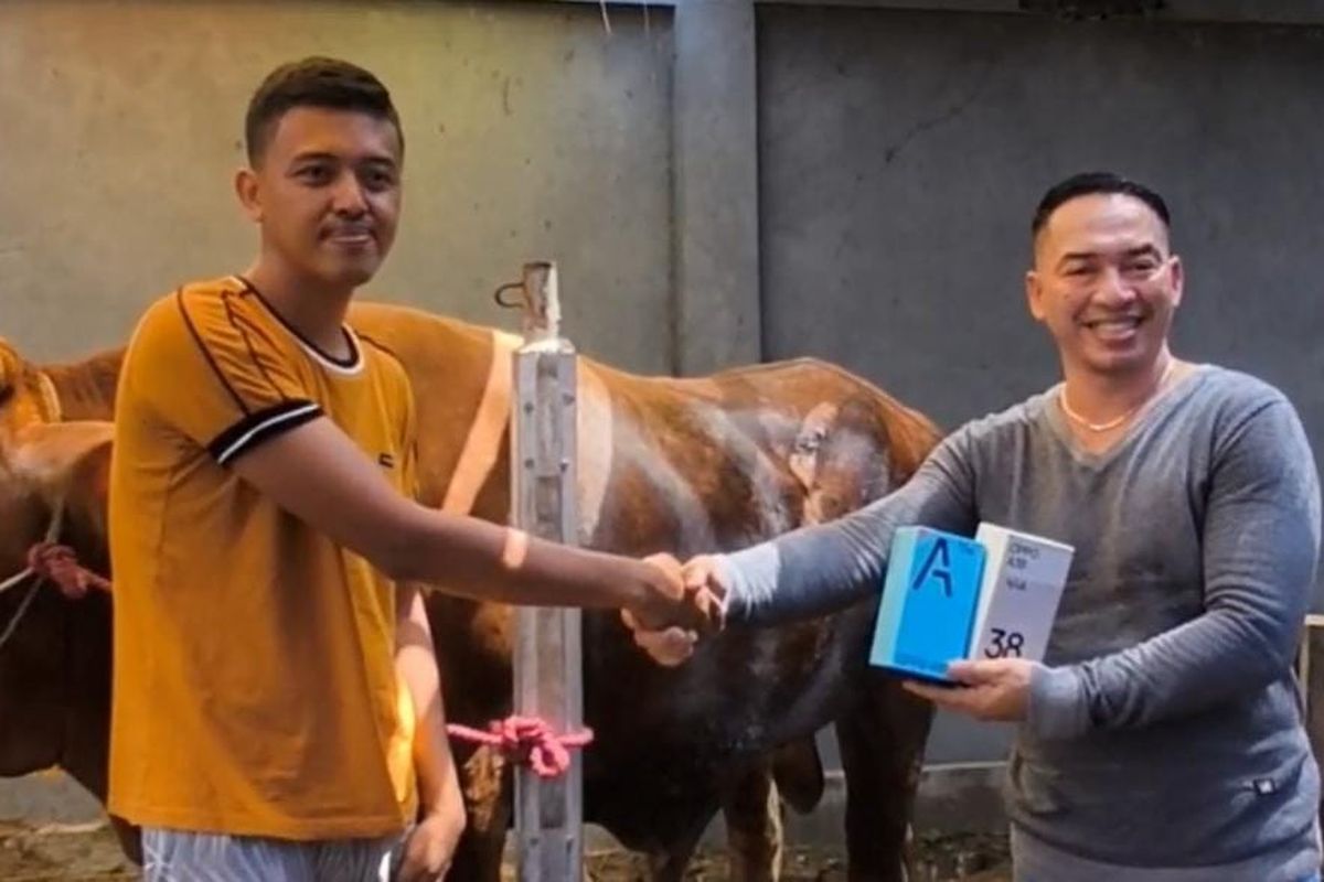 Wildan Firmansyah, seorang penjual musiman hewan kurban asal Pasuruan, Jawa Timur sedang melayani pembeli sapi dengan bonus handphone baru, Senin (19/05/2025) 