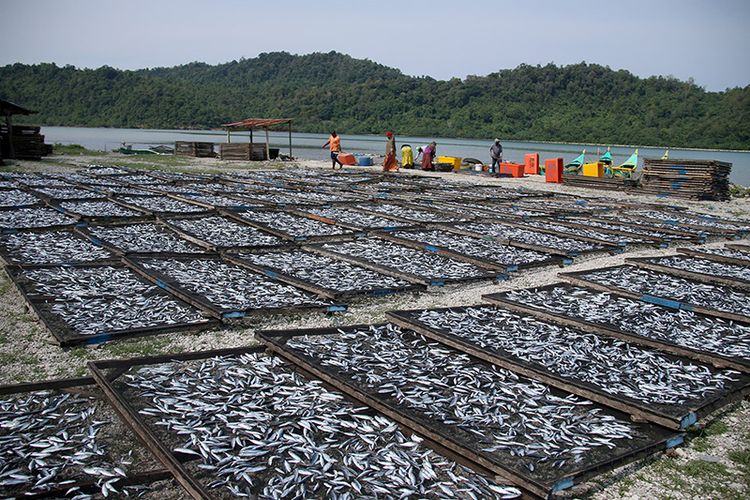 Hasan, Isteri dan sejumlah pekerja, Warga Desa Layeun, Kecamatan Lhokseudu, Kabupaten Aceh Besar sedang mengolah ikan segar menjadi ikan asin, Minggu (25/03/18).  ikan segar yang diolah menjadi ikan asin itu dibeli langsung dari hasil tangkapan nelayan Lehok Seudu, kemudian dicuci, diberikan garam, dan dijemur selama dua hari hingga kering. Ikan asin ini nantinya akan dipasarkan ke Medan Sumatera Umtara dan Padang Sumatera Barat dengan harga Rp. 30 hingga Rp 40 ribu perkilogramnya.