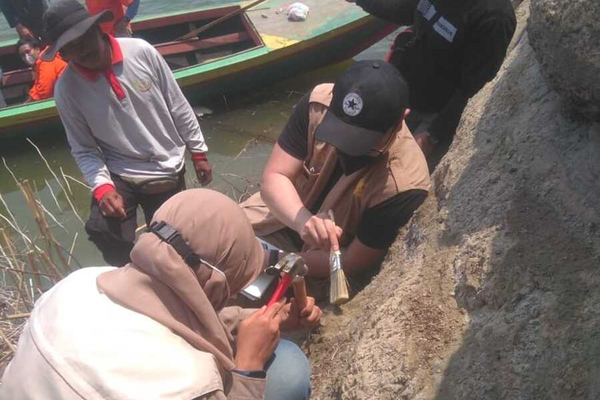 Tim Paleontologi ITB sedang meneliti temuan dugaan fosil hewan purba di sekitar Waduk Saguling, Bandung Barat.