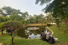 Taman Spathodea di Jakarta Selatan: Lokasi, Jam Buka, dan Fasilitas