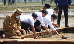 Jokowi Apresiasi Pengembangan Benih Unggul Padi oleh Kementan 