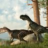 Rahasia Ukuran Raksasa Dinosaurus Ternyata Ada pada Tulangnya