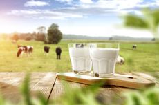 7 Manfaat Susu Dicampur Bawang Putih, Apa Saja?