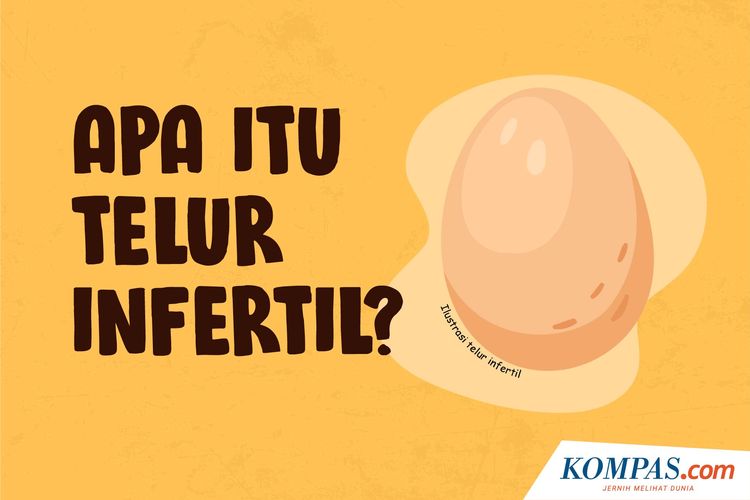 Apa itu telur Infertil?
