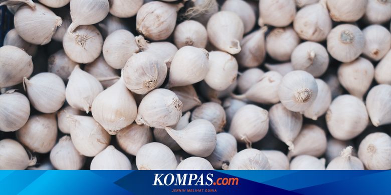 7 Manfaat Bawang Putih Tunggal Untuk Kesehatan 7 Manfaat Bawang Putih Tunggal Untuk Kesehatan