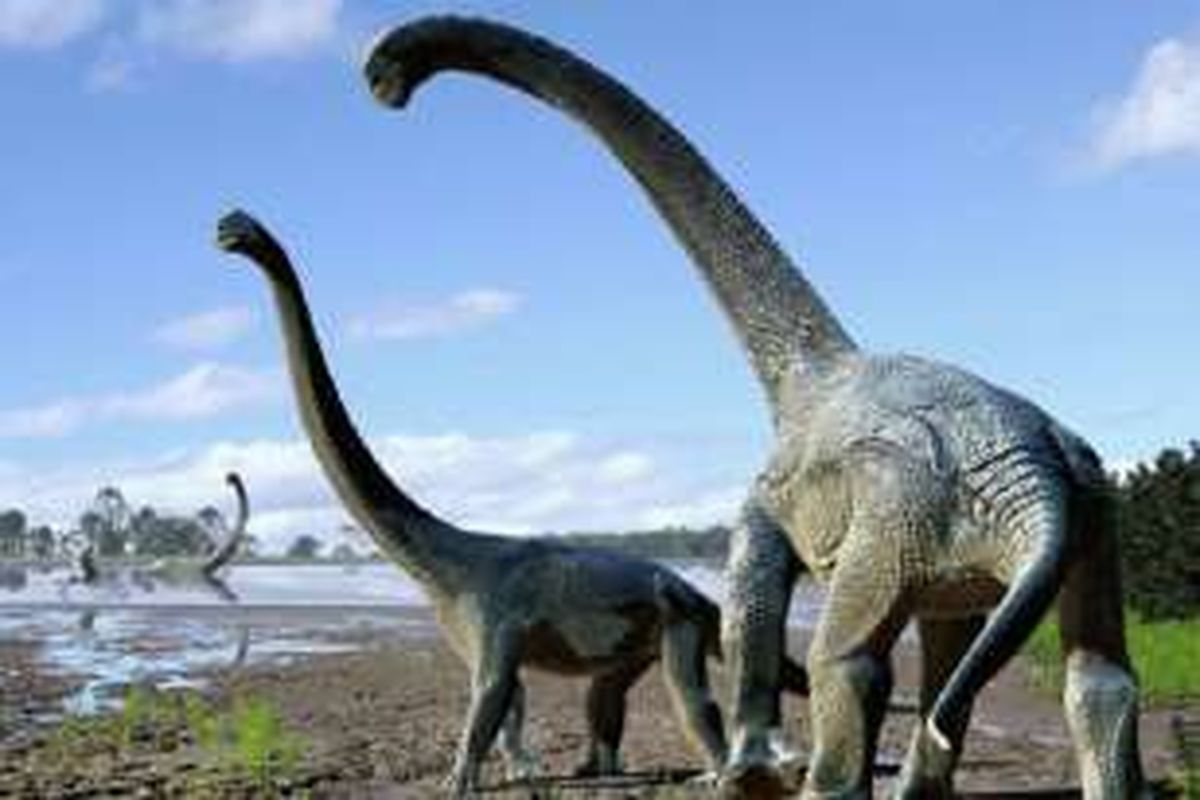 Ilustrasi Savannasaurus elliottorum
