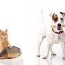 Mengapa Kucing Menyukai Ikan dan Anjing Menyukai Tulang?