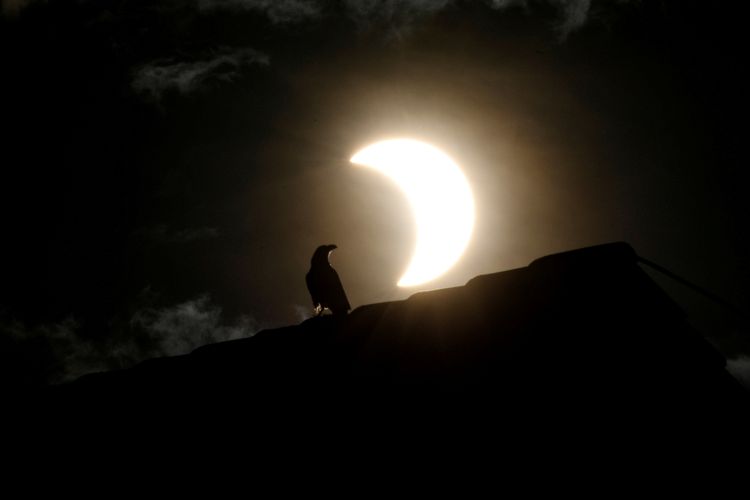 Penampakan gerhana matahari sebagian di Nairobi, Kenya, pada 21 Juni 2020.