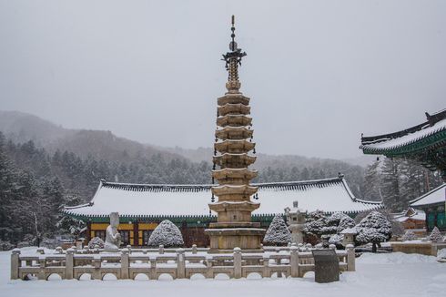 Wisata Musim Dingin di Korea, Saatnya Ski di Gangwon
