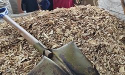 PLN: Co-Firing PLTU Manfaatkan Limbah Biomassa