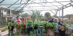 Jaga Ketahanan Pangan, Pemkot Semarang Dorong Pemanfaatan Lahan Tidur untuk “Urban Farming”