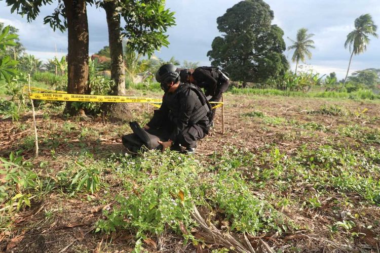 Tim Penjinak Bom Gegana Brimob Polda Lampung meledakkan granat nanas yang ditemukan warga saat panen singkong. (FOTO: 
