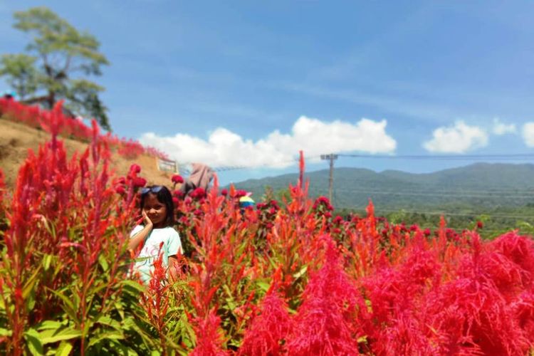 Seorang anak di Taman Bunga Geunie, Kecamatan Tangse, Kabupaten Pidie, Minggu (7/7/2019)