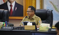 Mendagri: Dukung Ketahanan Pangan, Pemda Harus Buat Kebijakan Lindungi Persawahan