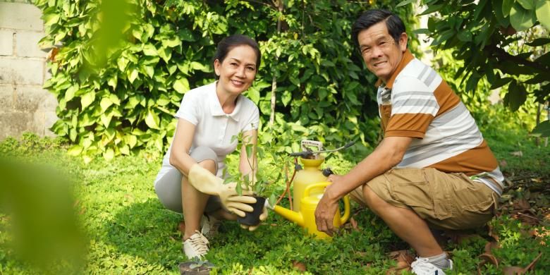 Aktivitas berkebun di pekarangan rumah