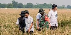 Serapan Gabah Kering di Karawang Lebih dari 95.000 Ton, Bulog: Ini Kebahagiaan Para Petani