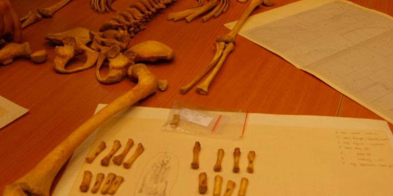 Arkeolog menemukan tengkorak burung Chaffinch di mulut seorang anak yang dikubur sekitar 200 tahun lalu di Gua Tunel Wielki, Polandia.