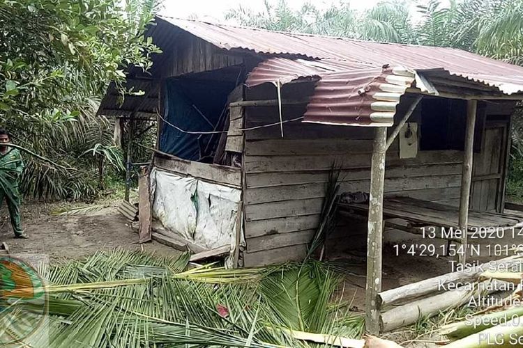 Rumah serta tanaman warga yang dirusak kawanan gajah liar di Desa Tasik Tebing Serai, Kecamatan Talang Muandau, Kabupaten Bengkalis, Riau, Rabu (13/5/2020). Dok BBKSDA Riau