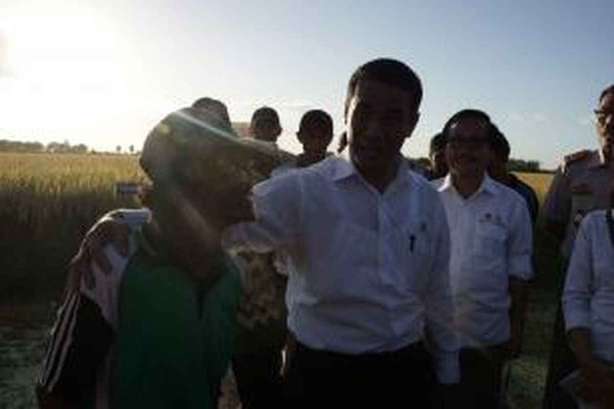 Menteri Pertanian (Mentan) Andi Amran Sulaiman bertemu petani di Kampung Waminggap Miraf SP 5, Distrik Tanah Miring, Kabupaten Merauke, Papua, Minggu (10/5/2015). 
 