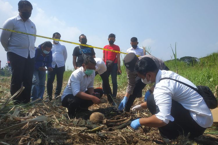 Tim Inavis Polres Kota Mojokerto, Jawa Timur, melakukan pemeriksaan di lokasi penemuan kerangka manusia di lahan perkebunan tebu, di Desa Mlirip, Kecamatan Jetis, Mojokerto, Jawa Timur, Senin (20/6/2022).