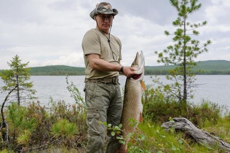 Presiden Rusia memamerkan ikan tangkapannya dari sebuah danau di wilayah Tuva, Siberia. Kremlin mengklaim ikan tangkapan Putin itu seberat 21 kilogram.