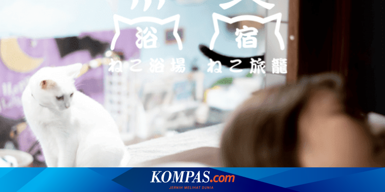 Hotel Kapsul Di Jepang Tawarkan Kucing Jadi Teman Tidur Halaman All Kompas Com