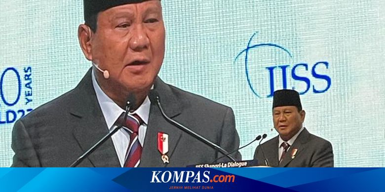 Prabowo Usul Gencatan Senjata dan Siap Kirim Pasukan Perdamaian ke Ukraina