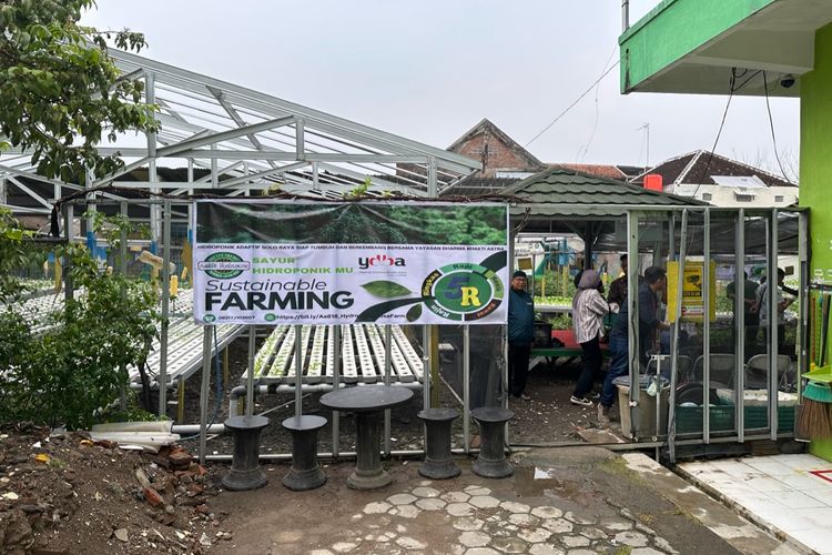 Salah satu kebun sayuran hidroponik milik anggota Komunitas Wadah Sayur Indonesia (WSI) di Solo, Jawa Tengah pada Senin (10/11/2024) sore.