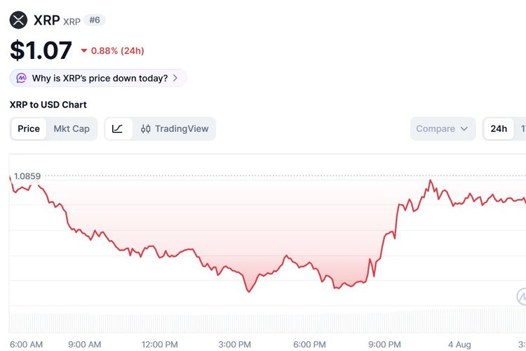 Harga XRP Hari Ini 4 Agustus 2026 Anjlok, Trader Jauhi Altcoin