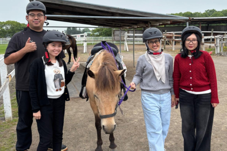 Pengunjung dapat berinteraksi langsung dengan Dosanko, kuda khas Hokkaido, di Kushiro Fureai Horse Park. 