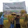 Bangun Pertanian Skala Besar di Kebumen, Dompet Dhuafa Garap Lahan 1.000 Hektar