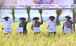 Pj Gubernur Sulsel Apresiasi Kolaborasi TNI dan Pemda dalam Tingkatkan Ketahanan Pangan di Pinrang