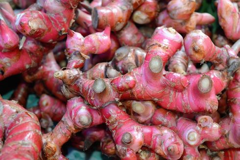 Cara Menanam Jahe Merah di Karung. Hemat Tempat dan Minim Perawatan