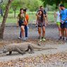 Pelaku Wisata Tolak Kenaikan Tiket Masuk Taman Nasional Komodo, Ini Kata Pemkab Manggarai Barat