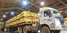  Dukung Petani, Kementan Siapkan Stok Pupuk Subsidi 3 Kali Lipat