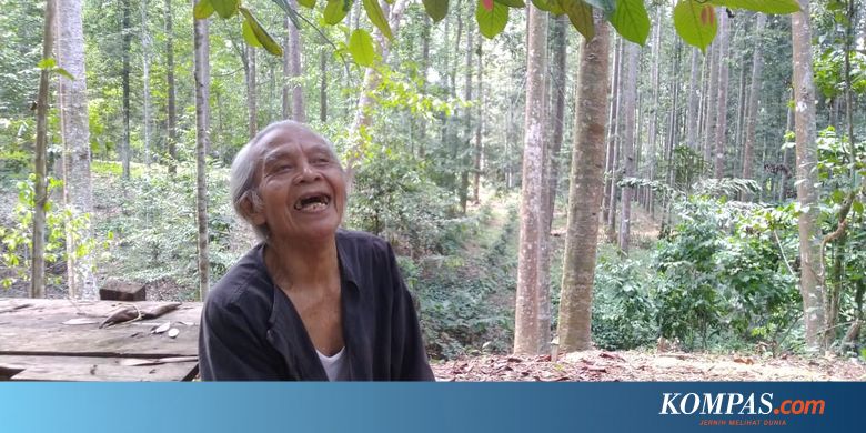 Tolak Rp 10 Miliar demi Jaga Hutan, Kakek Suhendri: Oksigen bagi Warga