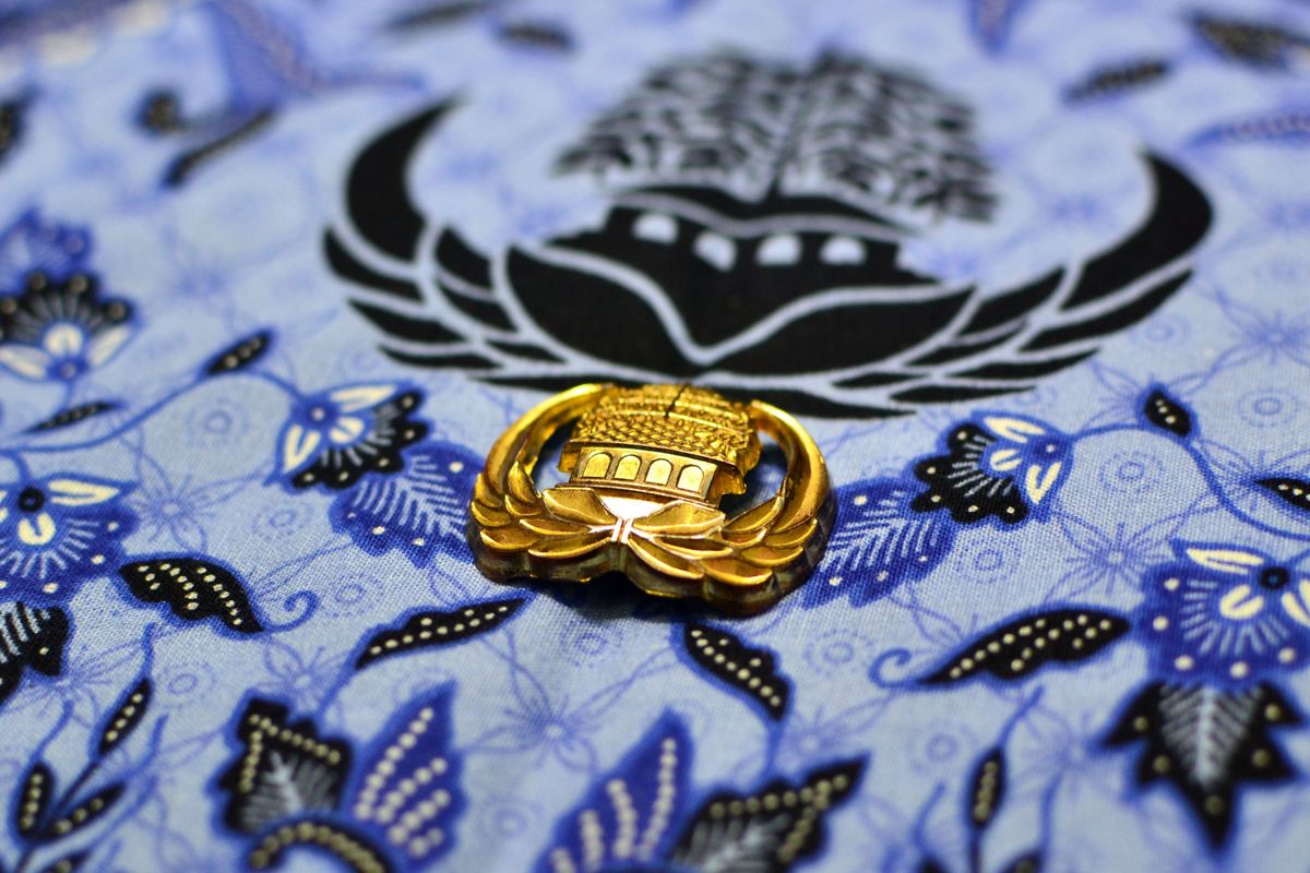 Ilustrasi ASN CPNS PPPK.