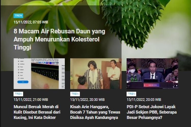 Berita terpopuler Tren hingga Rabu (16/11/2022) pagi ini adalah ragam air rebusan daun yang disebut dapat menurunkan kolesterol yang tinggi.