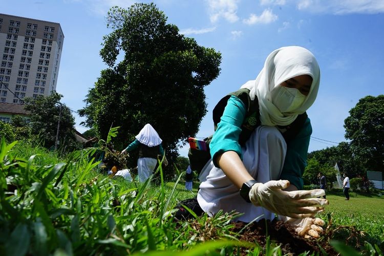 Salah satu siswi Perguruan Islam Al Syukro Universal Dompet Dhuafa terlihat sedang menanam bibit pohon di lingkungan sekolah, Jumat (26/11/2021).