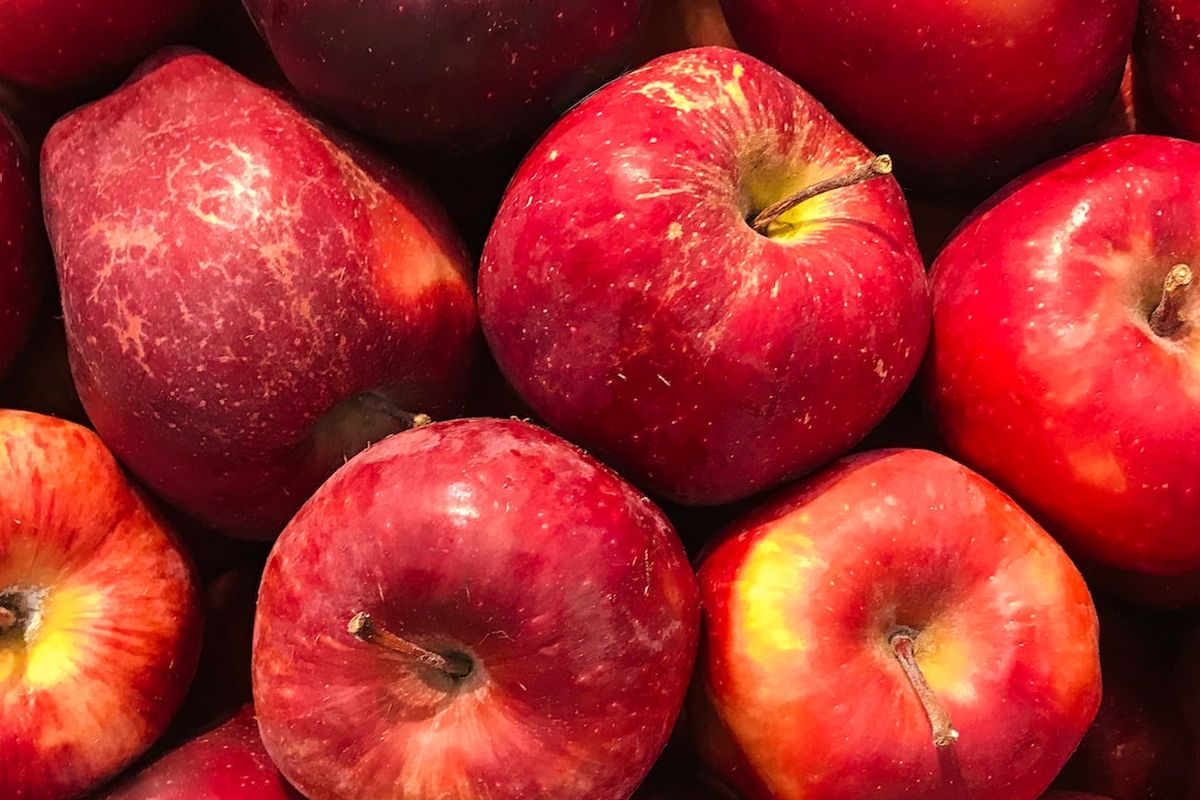 Ilustrasi buah apel