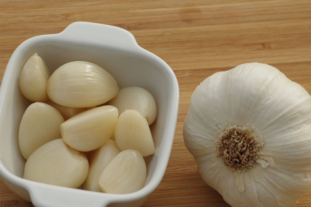 Ilustrasi bawang putih.