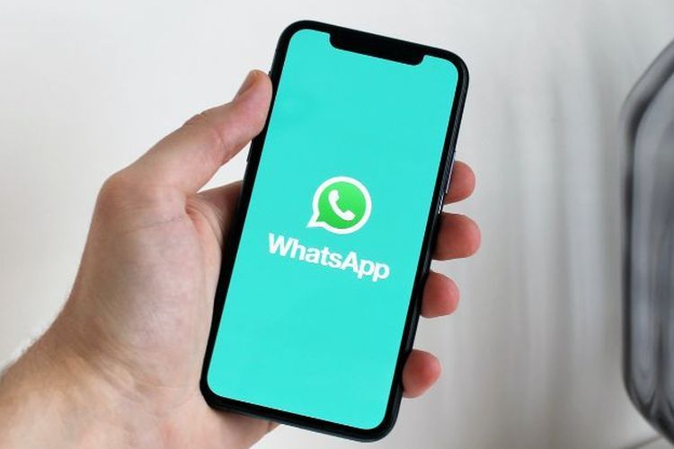 Cara mengatasi WhatsApp tidak bisa mengirim pesan.